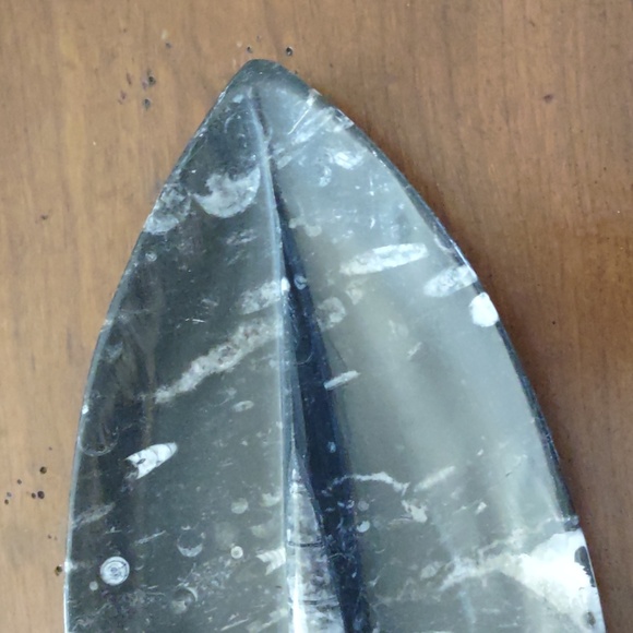 Fossil - Picture 3 of 5